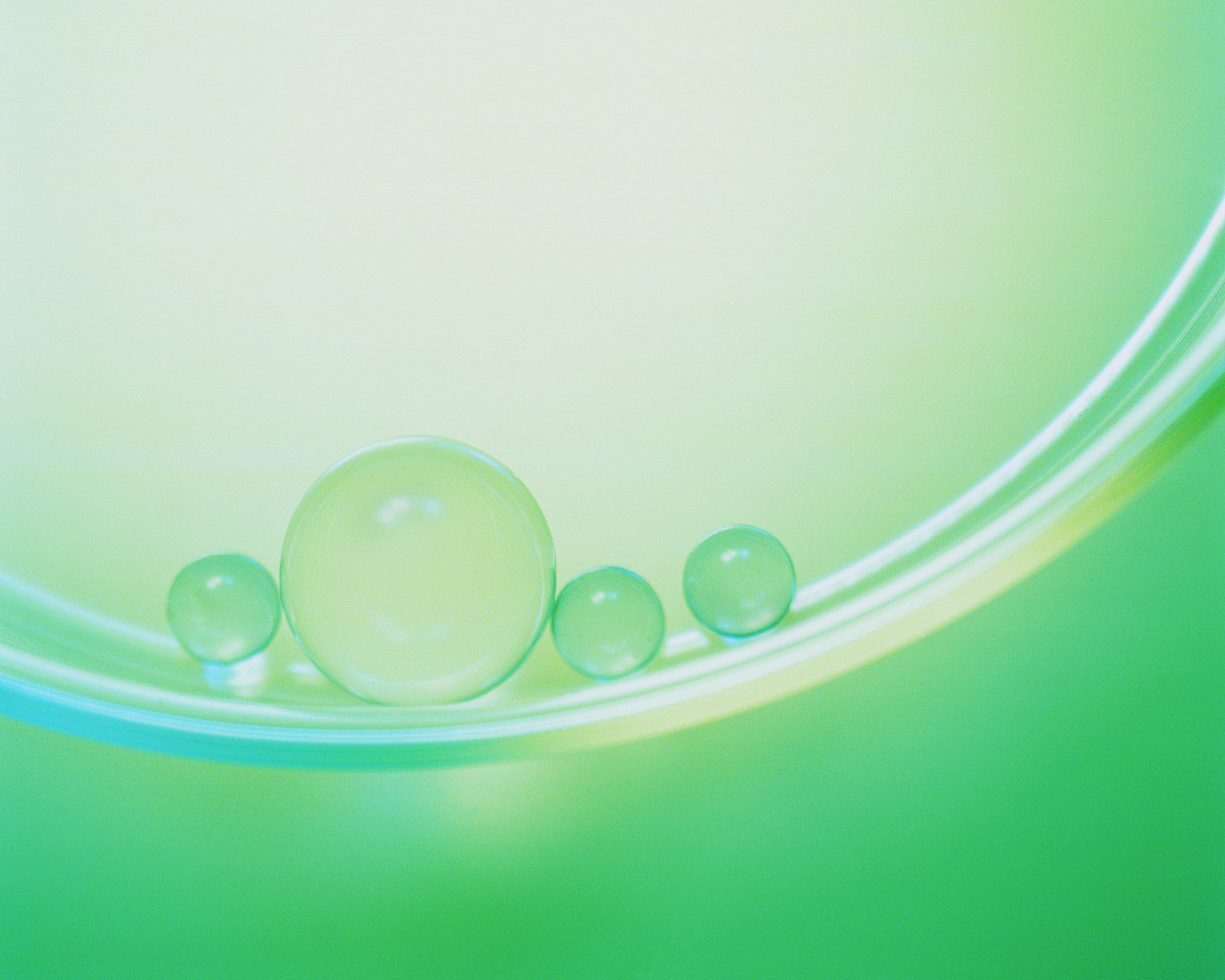 �R���[�Q�����e�h�����N�C���[�W